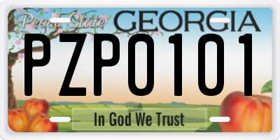 GA license plate PZP0101