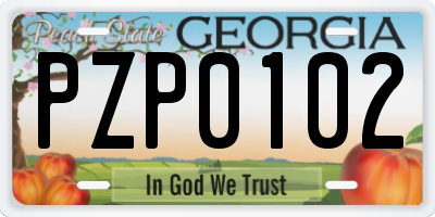 GA license plate PZP0102