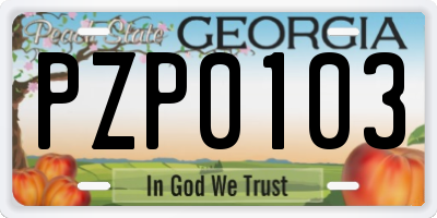 GA license plate PZP0103