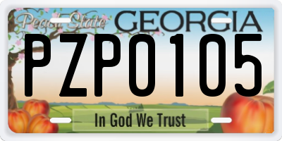 GA license plate PZP0105