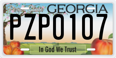 GA license plate PZP0107