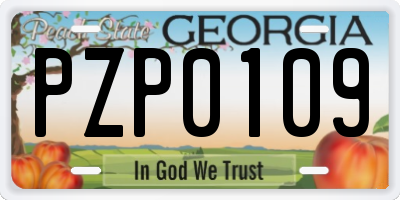 GA license plate PZP0109