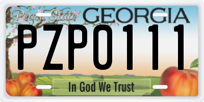 GA license plate PZP0111