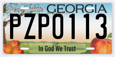 GA license plate PZP0113