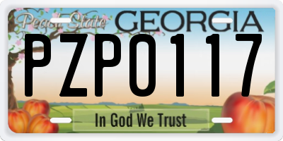 GA license plate PZP0117