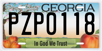 GA license plate PZP0118
