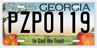 GA license plate PZP0119
