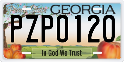 GA license plate PZP0120