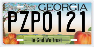 GA license plate PZP0121