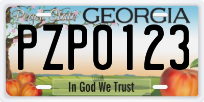 GA license plate PZP0123
