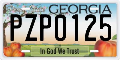 GA license plate PZP0125