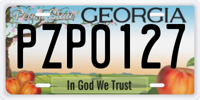GA license plate PZP0127