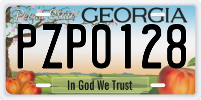 GA license plate PZP0128