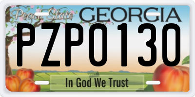 GA license plate PZP0130
