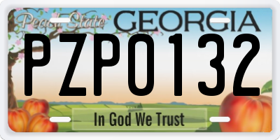 GA license plate PZP0132