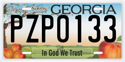 GA license plate PZP0133