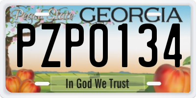 GA license plate PZP0134