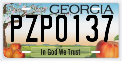 GA license plate PZP0137