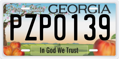 GA license plate PZP0139