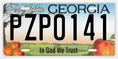 GA license plate PZP0141