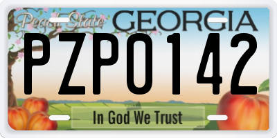 GA license plate PZP0142