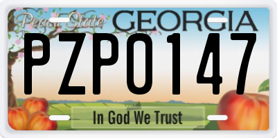 GA license plate PZP0147