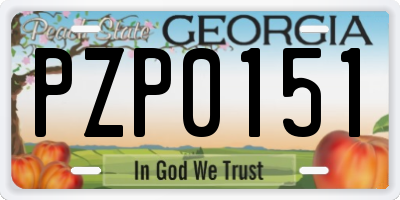 GA license plate PZP0151