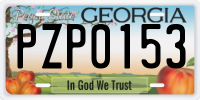 GA license plate PZP0153