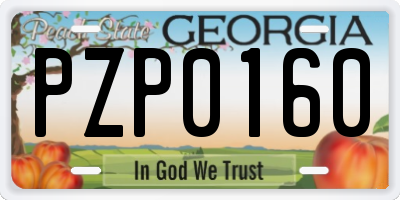 GA license plate PZP0160