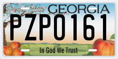 GA license plate PZP0161