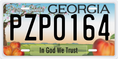 GA license plate PZP0164