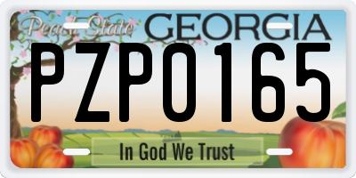 GA license plate PZP0165