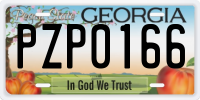 GA license plate PZP0166