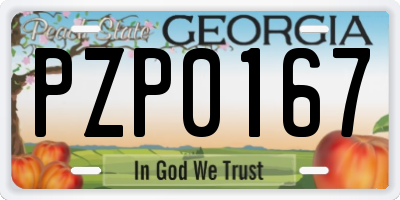 GA license plate PZP0167