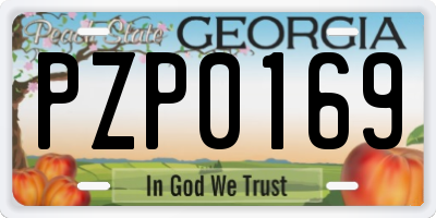 GA license plate PZP0169