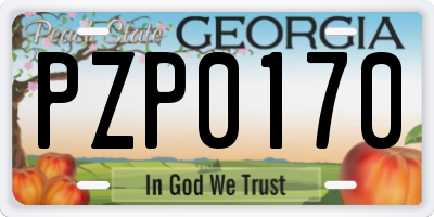 GA license plate PZP0170