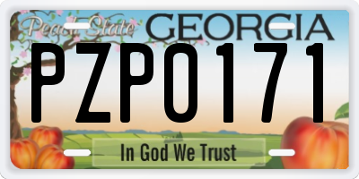 GA license plate PZP0171
