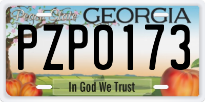 GA license plate PZP0173