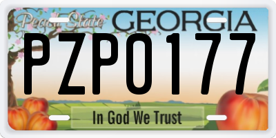 GA license plate PZP0177