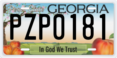 GA license plate PZP0181
