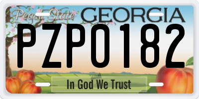 GA license plate PZP0182