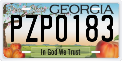 GA license plate PZP0183