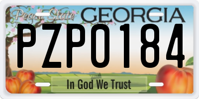 GA license plate PZP0184