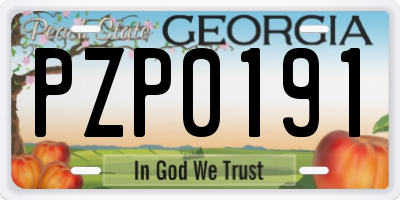 GA license plate PZP0191