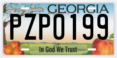 GA license plate PZP0199