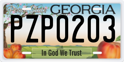 GA license plate PZP0203