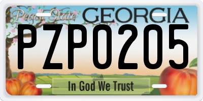 GA license plate PZP0205