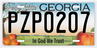 GA license plate PZP0207