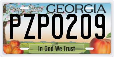 GA license plate PZP0209