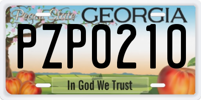 GA license plate PZP0210